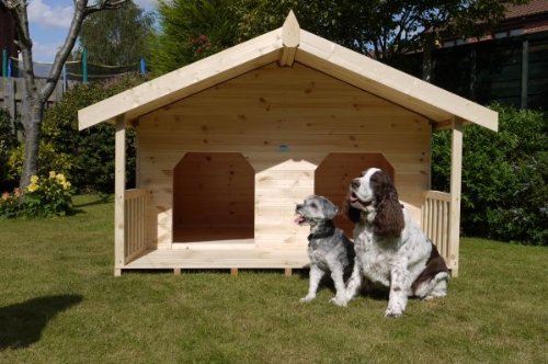 Luxury Double Dog Kennel Summerhouse for 2 Large Dogs ...