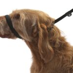 Dogs & Co Figure of 8 Dog Lead for dogs that pull. 3 leads in 1. Black