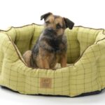 House of Paws Tweed Oval Dog Bed, 26-inch