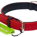 The Paws Colour Fusion Leather Collar, S, 40 cm, Red