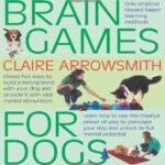 Brain Games For Dogs: Fun ways to build a strong bond with your dog and provide it with vital mental stimulation