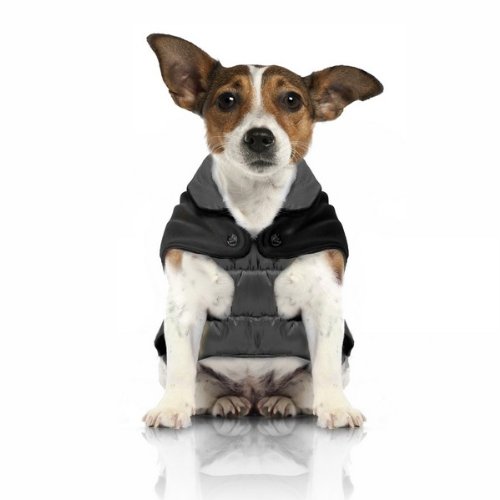 Milk & Pepper Dog's Waterproof Winter Coat Jacket - Sophisticated and Amazing Quality All sizes (size 28 cm)