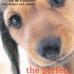 Perfect Puppy: Take Britain's Number One Puppy Care Book With You!