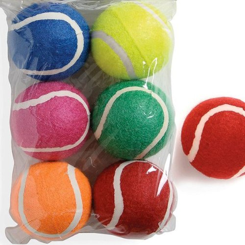 Sharples N Grant Fetch Tennis Balls, Pack of 6