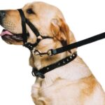 "Ancol - Dog Training Halter - Head Collar - Helps Stop Pulling - Size: Medium (3-4)"