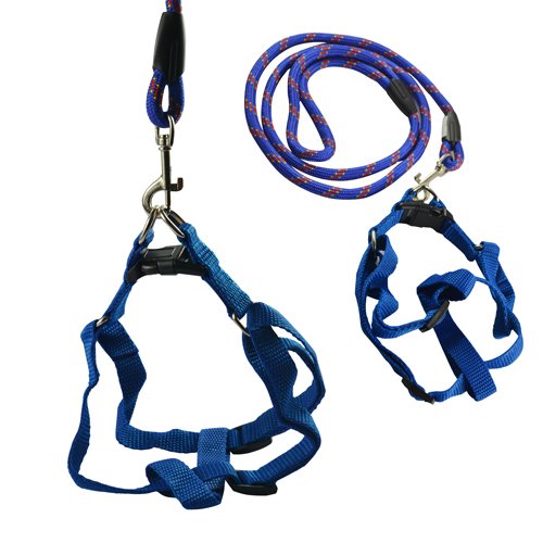UniversalGadgets Blue Extra Strong Training Walking Pet Dog Lead Leash Collar Rope + Adjustable Harness