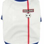 England Dog Football T-Shirt - 6 Sizes - XXL