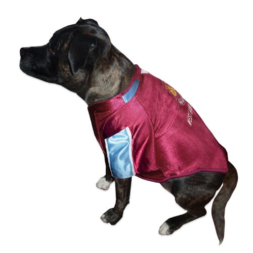 Official Dog Football Shirts