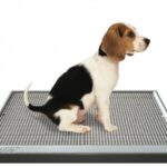 Ugodog Dog Potty - Housetraining Aid for Dogs & Puppies