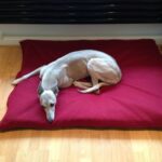 KosiPet® Wine Fleece Deluxe Medium Waterproof Dog Bed,Dog Beds,Pet Bed,Dogbed,Dogbeds,Petbed,Petbeds,