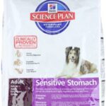 Hills Pet Nutrition Science Plan Canine Sensitive Stomach Egg And Rice Dry Dog Food 12kg