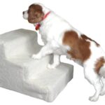 Good Ideas Deluxe Doggy Steps (709) Pet Stairs ideal for older or smaller dogs.