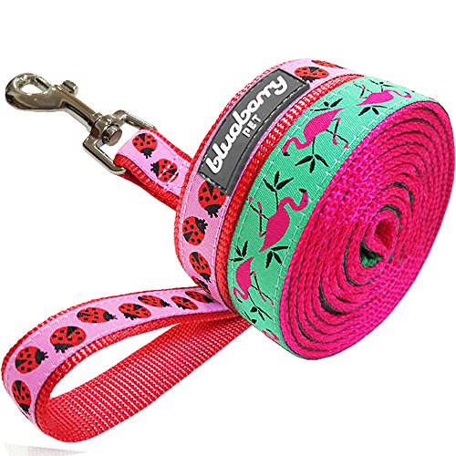 Blueberry Pet Pink Flamingo on Light Emerald or Red Ladybug Dog Lead, Matching Collar & Harness Available Separately