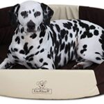 Knuffelwuff Foam Dog Bed Mia Size: M to XXL