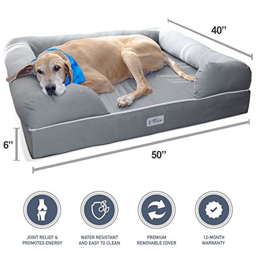 PetFusion Ultimate Pet Bed & Lounge in Premium Edition with Solid Memory Foam [Replacement covers available]